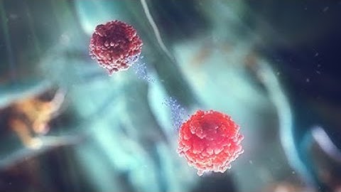 Dry Eye Disease MoA Animation