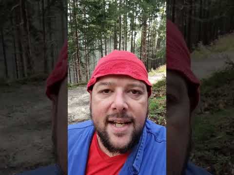 Almabtrieb 2023 - Jetzt geht's bergab