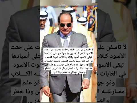 الرئيس السيسي لا تأسف على غدر الزمان لطالما رقصت على جثث الأسود كلاب اكسبلور مصر ترند فلسطين