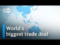 China and 14 partners sign world's biggest trade deal without US | DW News