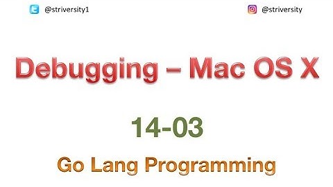 #golang #debug #setup #striversity 14.03 - Debugging Setup - Mac OS X