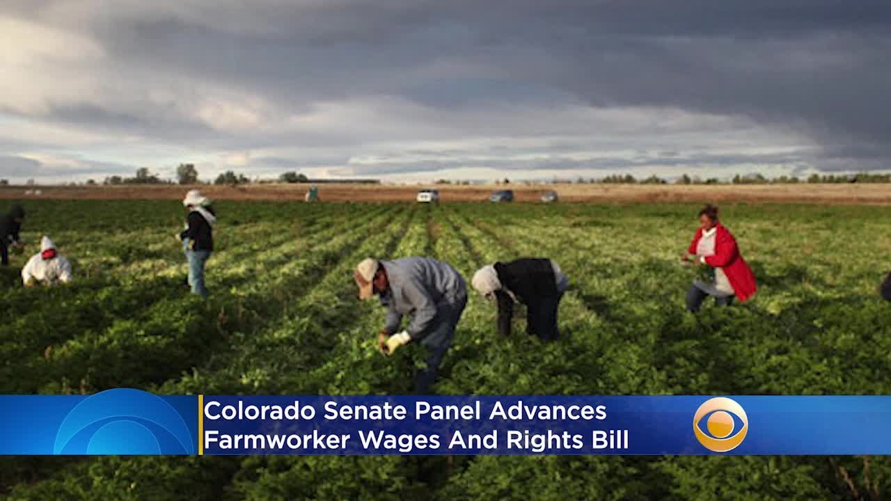 Colorado Senate Panel Advances Farmworker Wages, Rights Bill