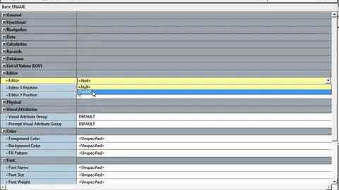 Oracle forms developing -7