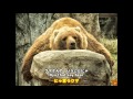 森のくまさんをGoogle翻訳で再翻訳し歌ってみた