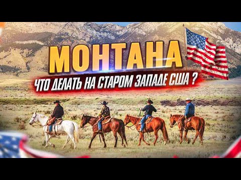 Video: Yuta shtatida qayin daraxtlari bormi?