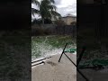Frozen South Texas