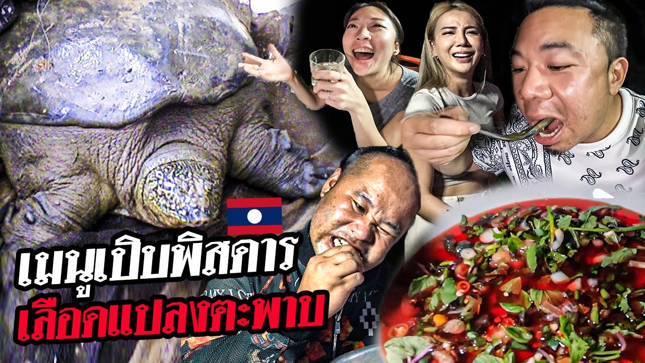 เมนูเปิปพิสดาร เลือดแปลงตะพาบลาว!!!