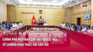 Chính phủ họp Ban chỉ đạo Quốc gia về chống khai thác hải sản IUU