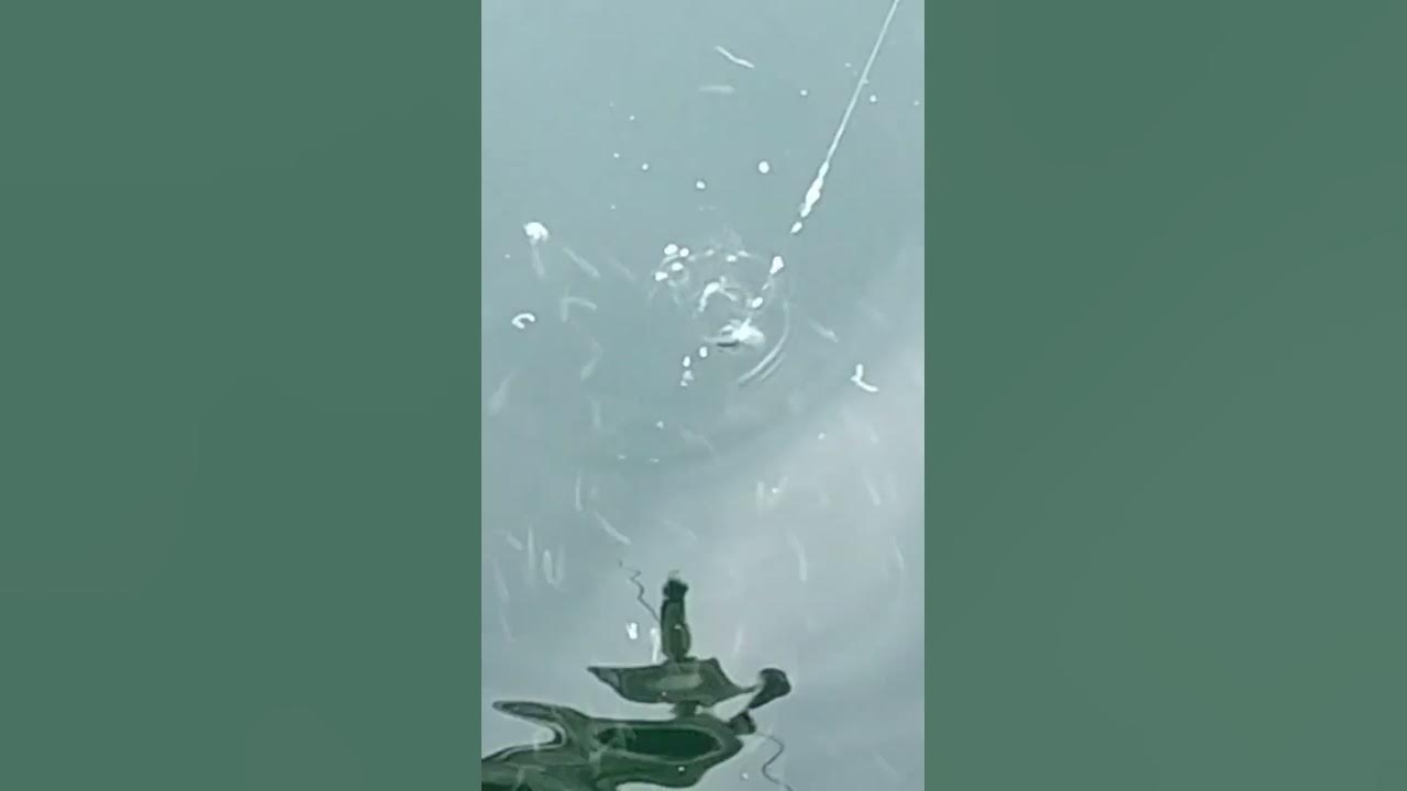Begini Cara Ikan Mengerubuti umpan sabiki | Mancing Di Pelabuhan Kapal
