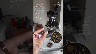 🔬 my micro jar ecosystem under the microscope #microscope #education #science #microbiologist