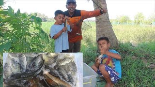 Venomena Alam!!gara gara hujan petir disiang hari ikan pada kaget\/\/saatnya wuwu bodo beraksi