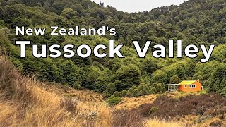 Kaweka - Tussock Valley New Zealand