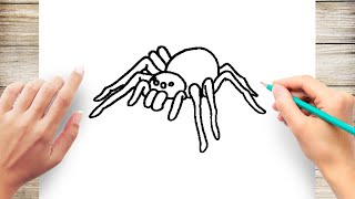 How to Draw a Spider Step by Step