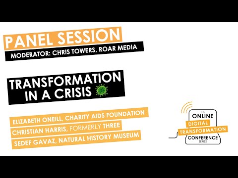 Digital Transformation in a Crisis: Panel Discussion