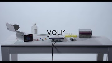 Invitrogen Qubit 4 and RNA IQ Assay: Fast, Accurate Quantification