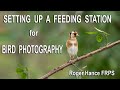 Setting Up a Feeding Station for Bird Photography using the Olympus EM1X