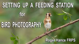 Setting Up a Feeding Station for Bird Photography using the Olympus EM1X