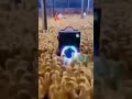 叮咚鸡群友线下聚会了 #叮咚鸡 #贵物神友会