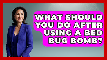 What Should You Do After Using A Bed Bug Bomb? - Insects and Invaders