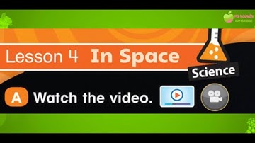 Everybody Up 4 Unit 7 Lesson 4