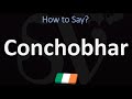 Conchobhar meaning