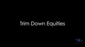 Program  - Trim Down Equities - Schwab Edition