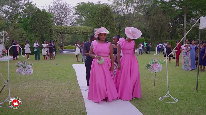 Probably the Most Famous Wedding Song in Malawi | ...