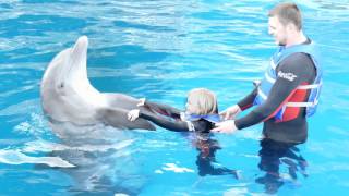 Visit Gulf World by Dolphin Discovery