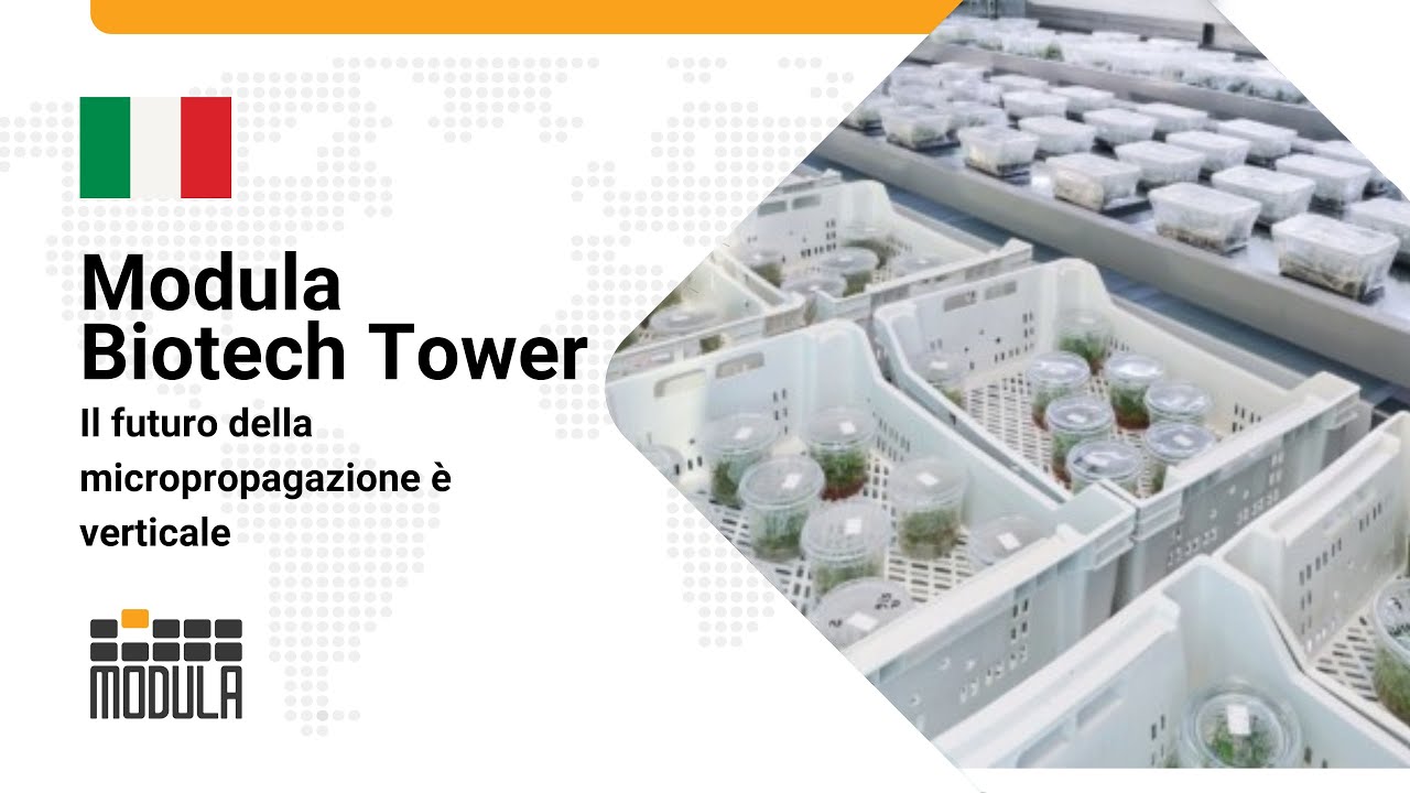 Il futuro della micropropagazione è verticale: efficienza e automazione ...