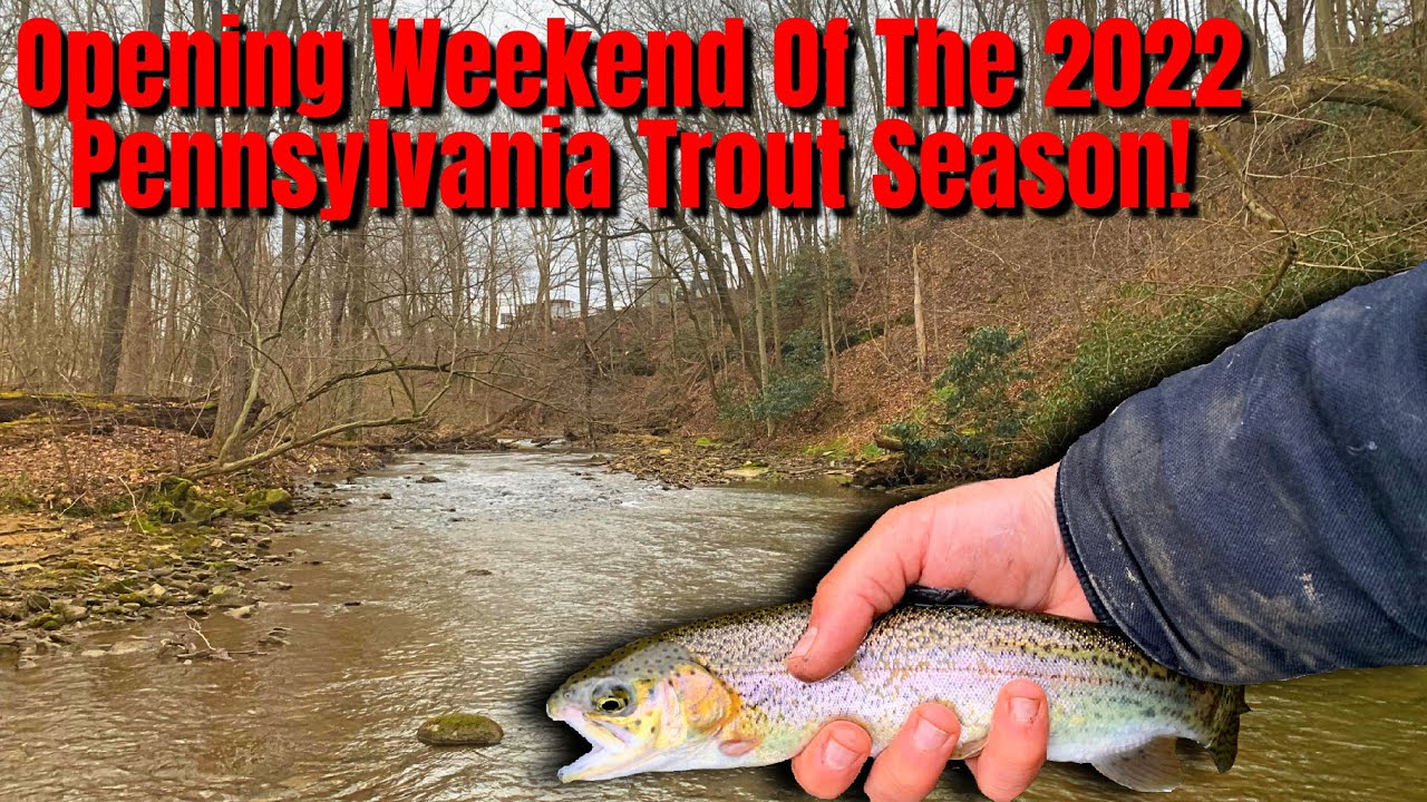 Opening Weekend Of The 2022 Pennsylvania Trout Season! YouTube