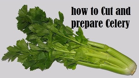 Paring, washing and cutting celery | French cooking techniques