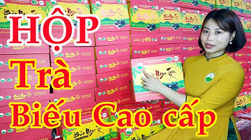 Trà Biếu Cao Cấp | Hộp Trà Biếu Tết | Trà Tân Cương Thái Nguyên
