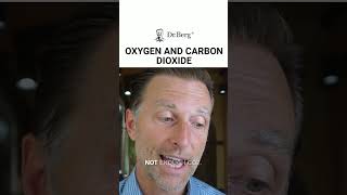 Let's Talk About The Vital Balance Between Co2 And Oxygen – The Balance That Keeps Us Thriving