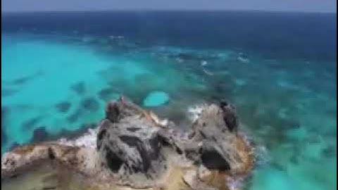 بسم االله الرحمن الرحيم سورة الرحمن الشيخ عوض عمر