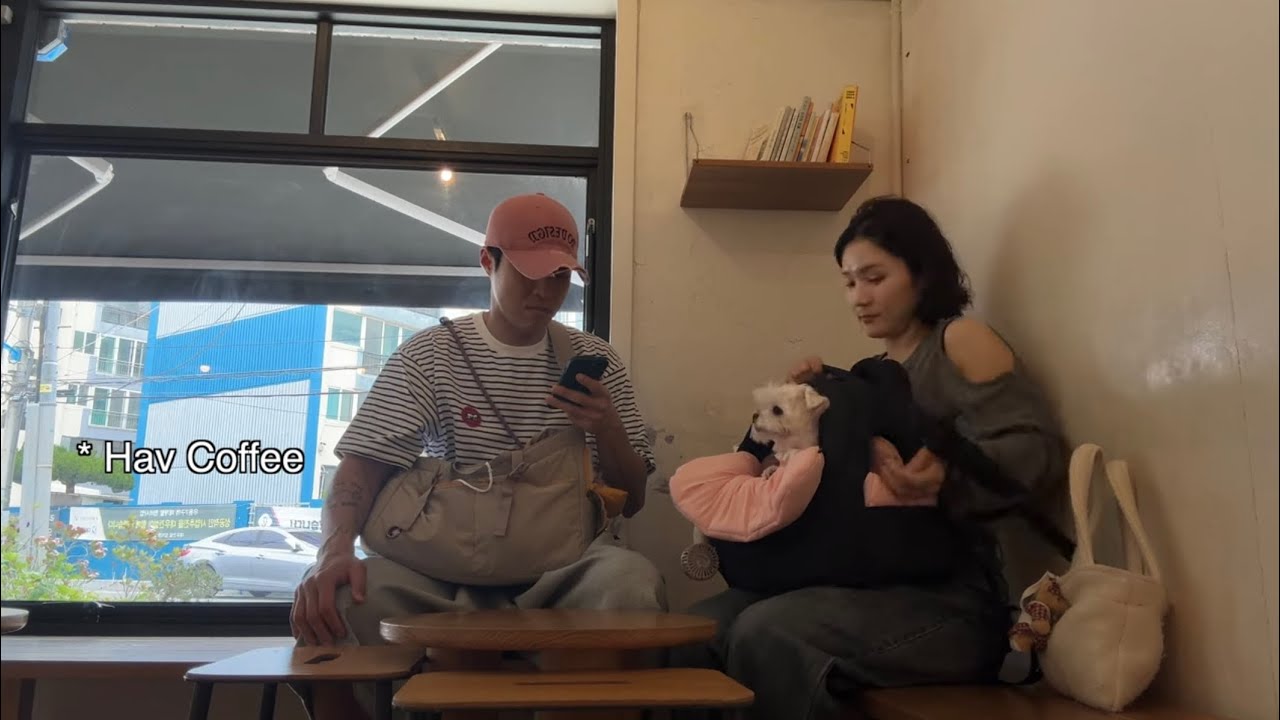 vlog 멍뭉이 2마리와 함께 KTX타고 부산 2박3일 (애견동반 식당, 카페, 동백섬, 해운대 산책, 더베이101)