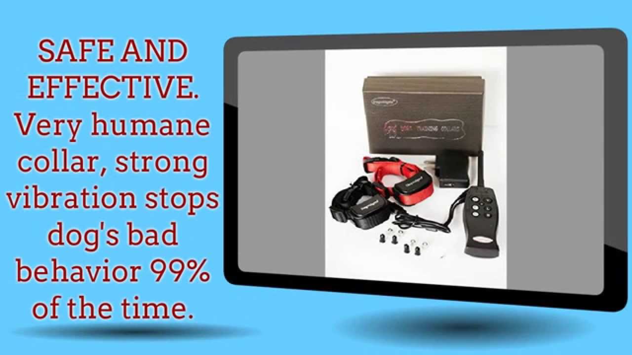 Dogwidgets 2 Dog Training Shock Collar YouTube