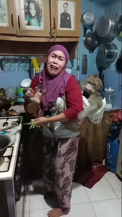 Parodi ppkm terlucu dan gokil