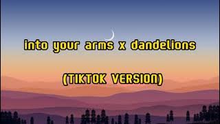 into your arms x dandelions // tiktok version