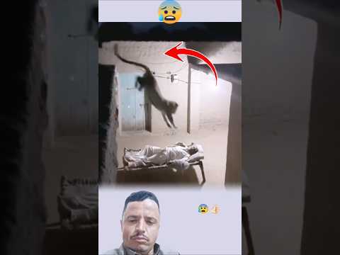 حين تنام وتذكرت الله في نومك يحميك من الهلاك حيوانات    