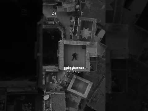 كل معرف بنى آدمين كل ماحب الطير والحيوانات أكتر لو حابينك هيبان عليهم ولو كارهينك هيبان عليهم