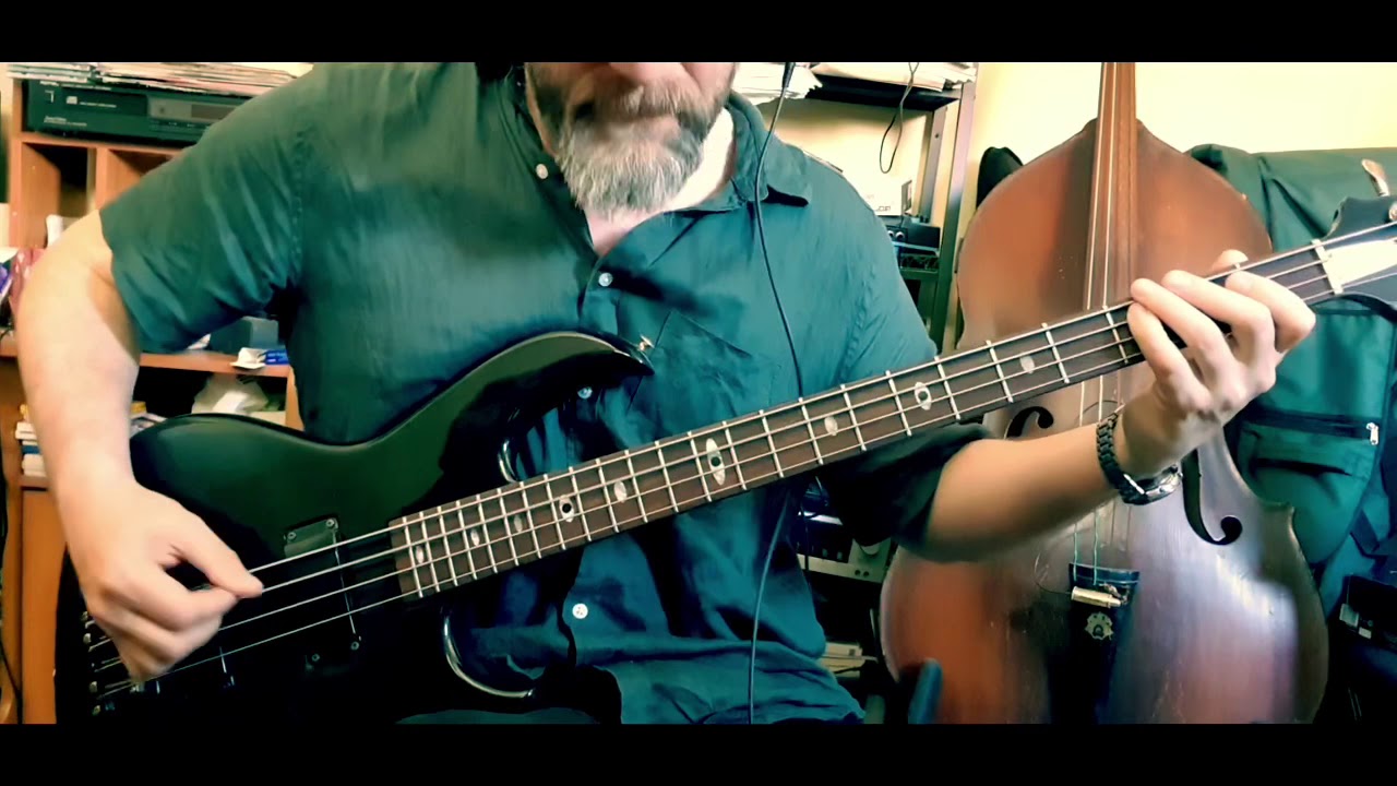Divinyls Science Fiction Bass Cover YouTube
