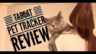 TabCat Cat Tracker Demo and Review