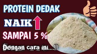 CARA FERMENTASI DEDAK DAN GEDEBONG PISANG - PAKAN ALTERNATIF - TERNAK AYAM KAMPUNG. 