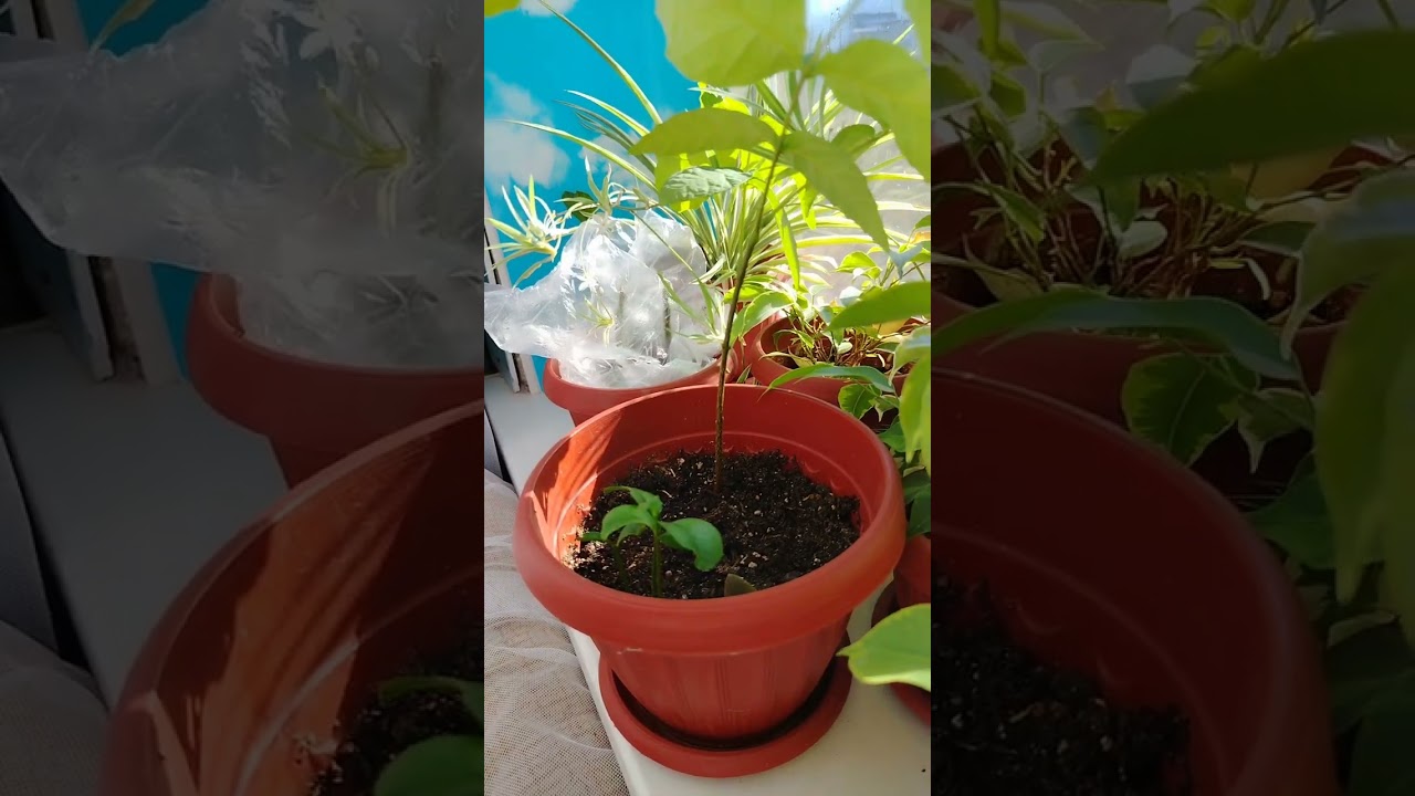 14 января 2026 г.