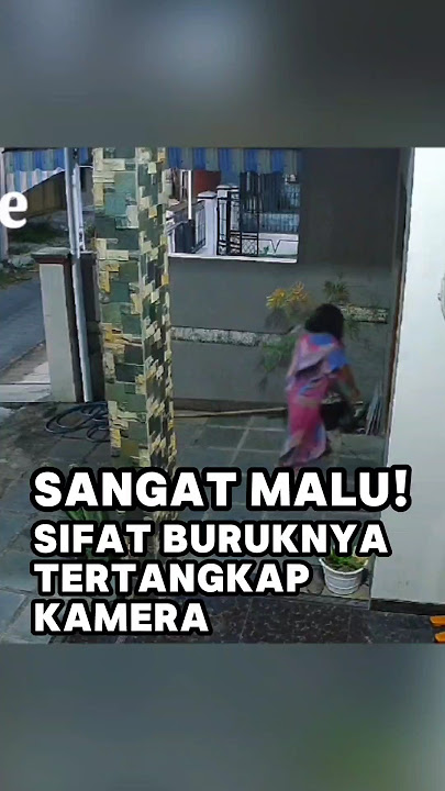Neighbor's Jealousy Caught on Camera