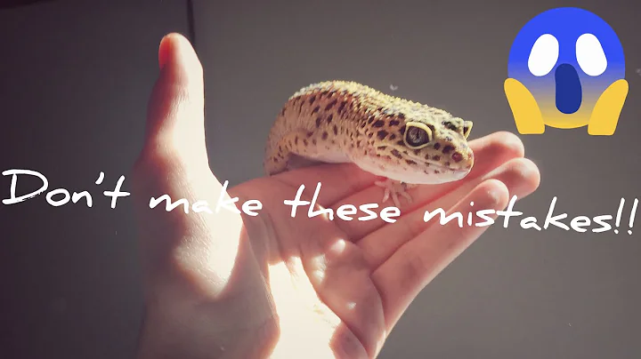 14 Common Mistakes Beginner Leopard Gecko Owners Make | Avoid these mistakes!!