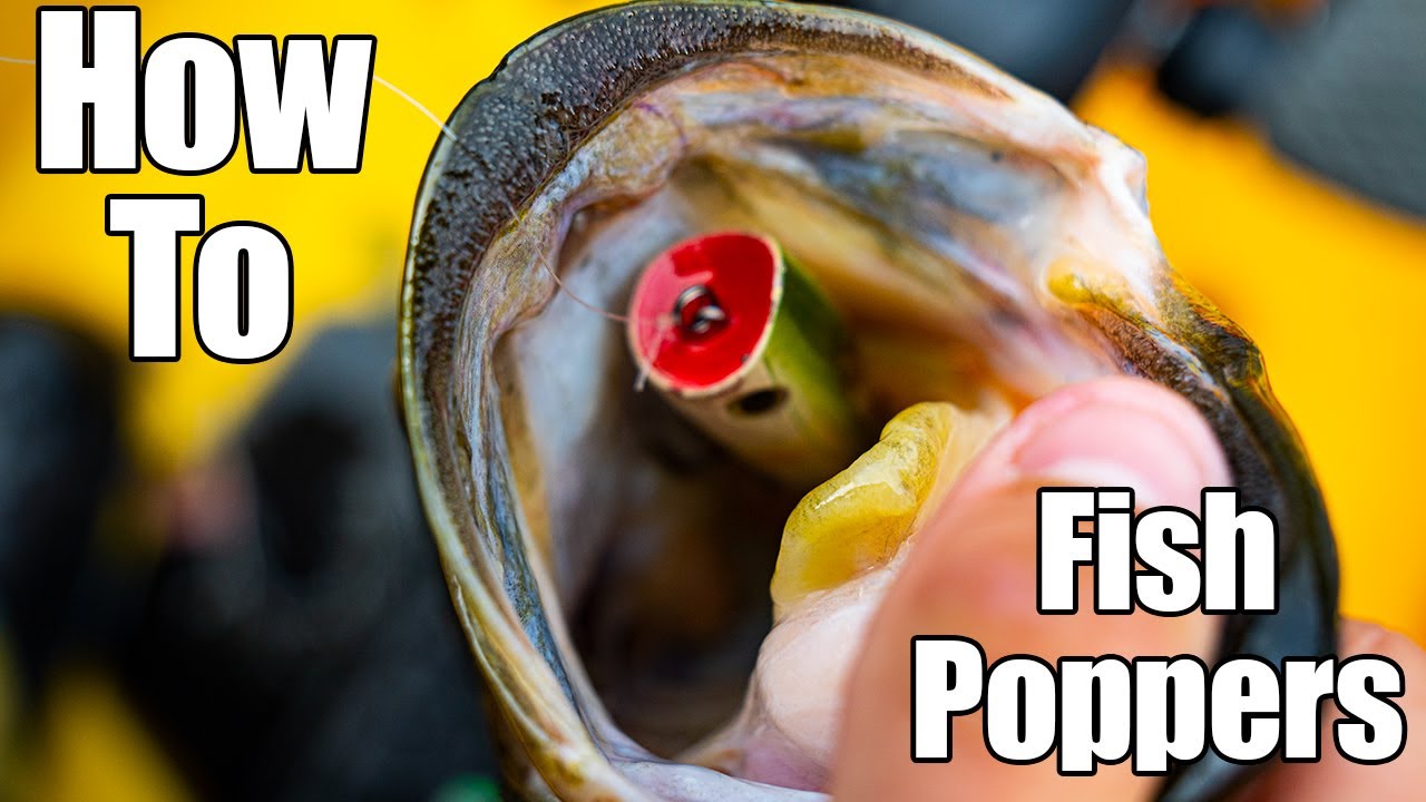 How to use a Popper to Catch BIG Bass