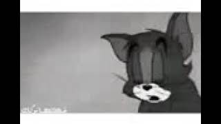 جعفر الغزال/محمد جمال ما نام حالف لا ما نام