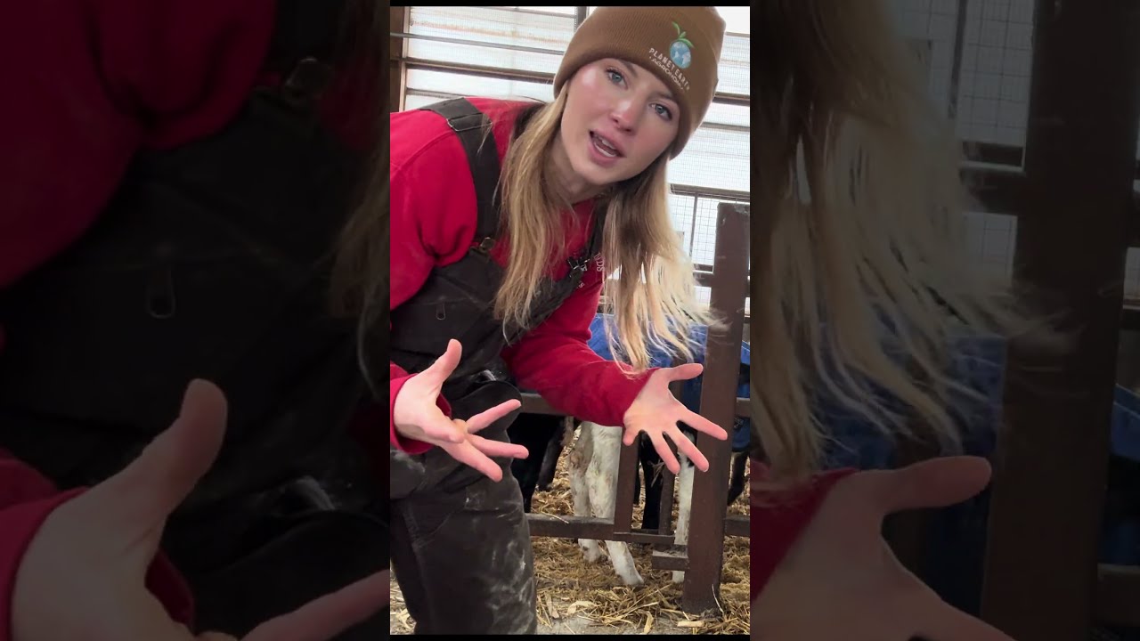 Day In The Life On Our Modern Wisconsin Farm Always Something Farmlife Farmgirl Fyp