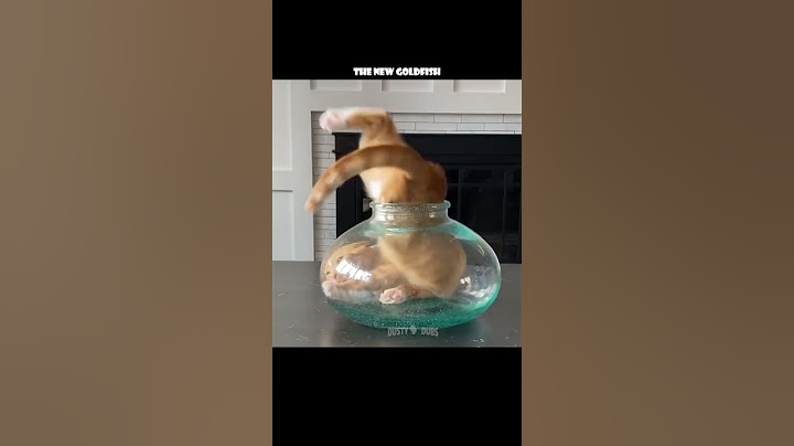 or worse yet, an ELECTRIC EEL 🙀 🎥: pjordan922 (TT), #shorts